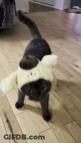 A Cat Is Wearing A Pompompurin Hat On Its Head GIF