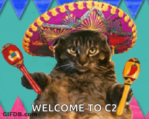 A Cat Is Wearing A Sombrero And Holding Maracas GIF