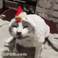 A Cat Is Wearing A White Chicken Costume With A Red And Yellow Rooster On Its Head GIF