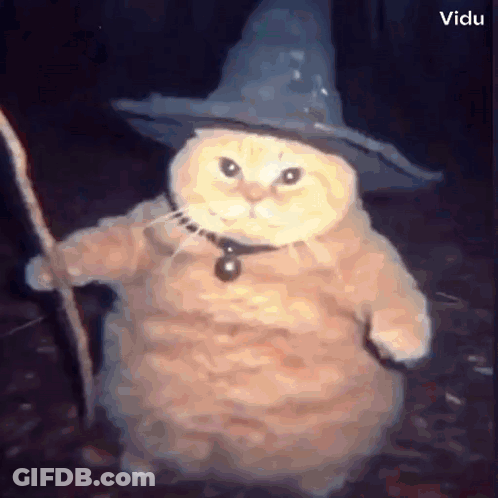 A Cat Is Wearing A Wizard Costume And Holding A Wand . GIF