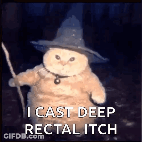 A Cat Is Wearing A Wizard Hat And Holding A Stick And Says I Cast Deep Rectal Itch GIF