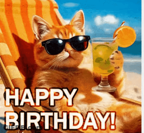 A Cat Is Wearing Sunglasses And Holding A Drink On The Beach . GIF