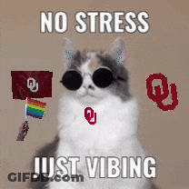 A Cat Is Wearing Sunglasses And Holding A Rainbow Flag And Says " No Stress Just Vibing " GIF