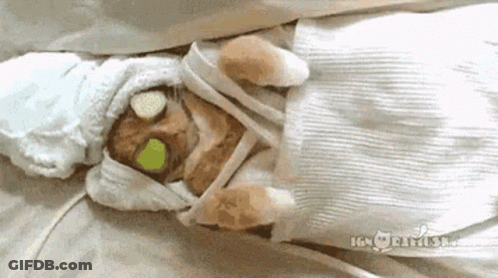 A Cat Is Wrapped In A Towel And Laying On A Bed With A Bottle Of Water On Its Face . GIF