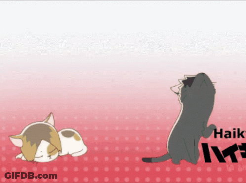 A Cat Laying Down Next To Another Cat With Haikyu Written On The Bottom Right GIF