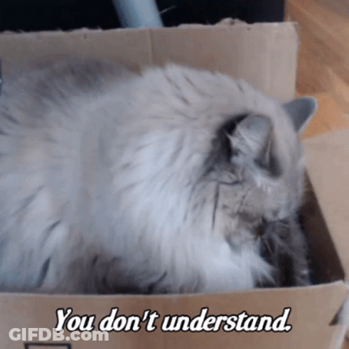 A Cat Laying In A Cardboard Box With The Words You Don 'T Understand Below It GIF