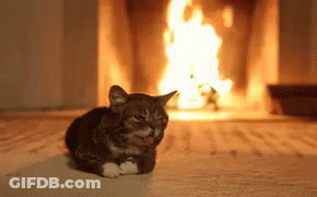 A Cat Laying In Front Of A Fireplace With A Fire In The Background GIF