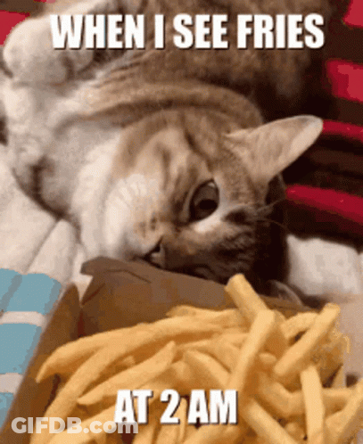 A Cat Laying On A Bed Next To A Box Of French Fries With The Caption " When I See Fries At 2 Am " GIF