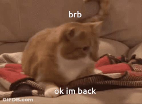 A Cat Laying On A Bed With The Words Brb Ok Im Back Written On The Bottom GIF