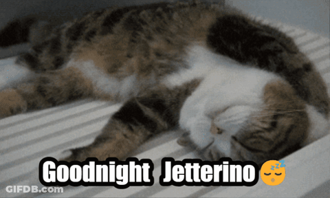 A Cat Laying On A Bed With The Words Goodnight Jetterino Written Above It GIF