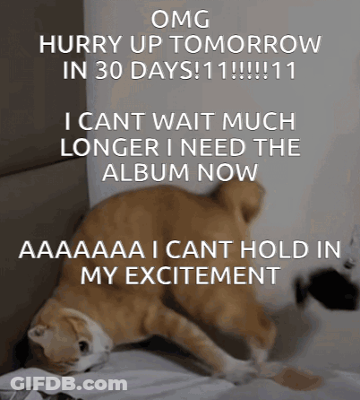 A Cat Laying On A Bed With The Words " Omg Hurry Up Tomorrow In 30 Days !!! " GIF
