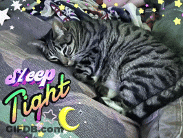 A Cat Laying On A Bed With The Words " Sleep Tight " Written Above It GIF