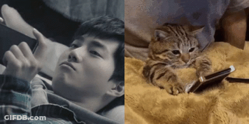 A Cat Laying On A Blanket Next To A Man Looking At A Phone GIF
