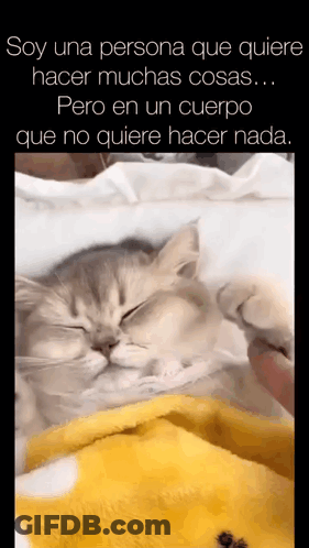 A Cat Laying On A Blanket With A Caption That Says Soy Una Persona Que Quiere Hacer Muchas Cosas GIF