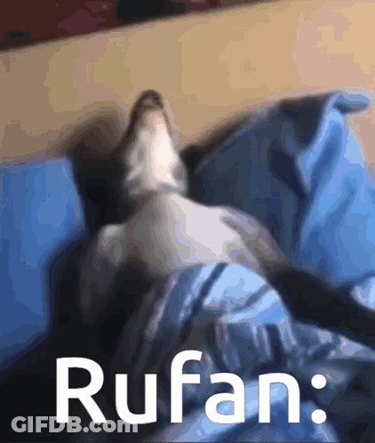 A Cat Laying On A Blue Blanket With The Word Rufan Written On The Bottom GIF