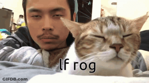 A Cat Laying On A Man 'S Lap With The Words Lf Rog Written On The Bottom GIF