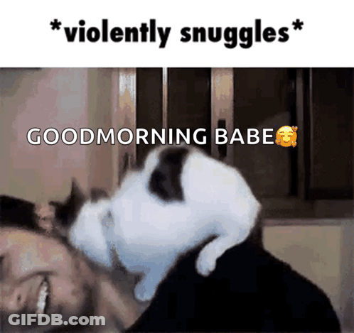 A Cat Laying On A Man 'S Shoulder With The Words " Violently Snuggles " Above It GIF