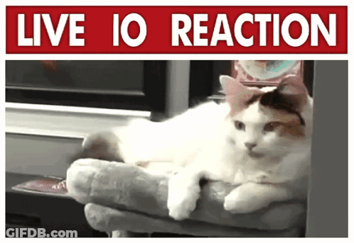 A Cat Laying On A Person 'S Lap Under A Sign That Says Live Io Reaction GIF