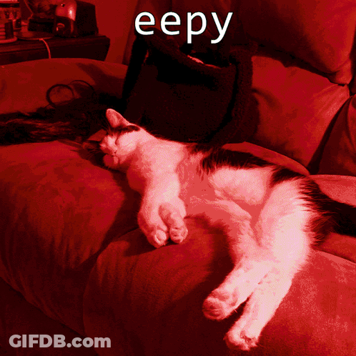 A Cat Laying On A Red Couch With The Word Eepy Written Above It GIF