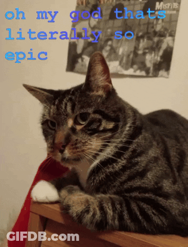 A Cat Laying On A Stool With The Words Oh My God That 'S Literally So Epic GIF