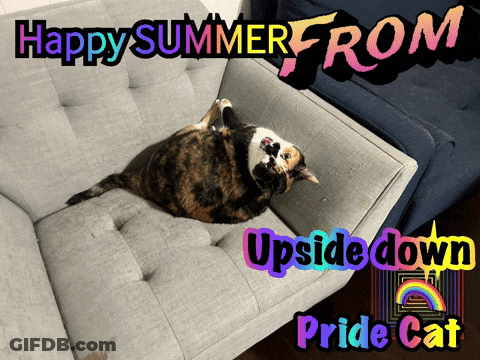 A Cat Laying On Its Back On A Couch With The Words Happy Summer From Upside Down Pride Cat Below It GIF