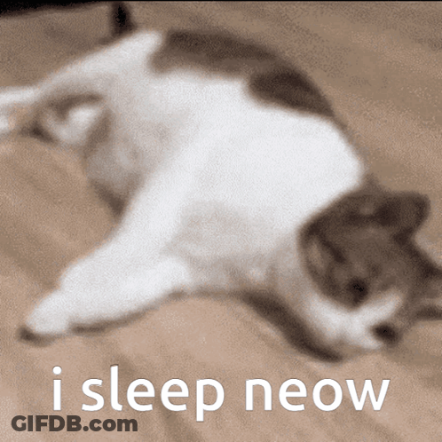 A Cat Laying On Its Back With The Words " I Sleep Neow " Below It GIF