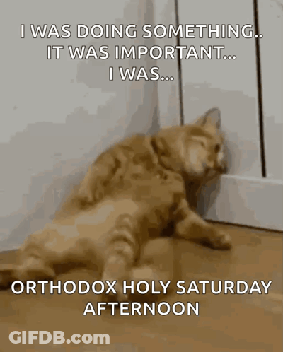 A Cat Laying On The Floor With A Caption That Says Orthodox Holy Saturday Afternoon . GIF