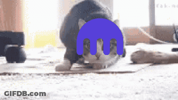 A Cat Laying On The Floor With A Purple M On Its Face GIF