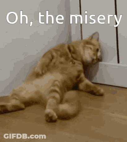 A Cat Laying On The Floor With The Words Oh The Misery Written Above It GIF