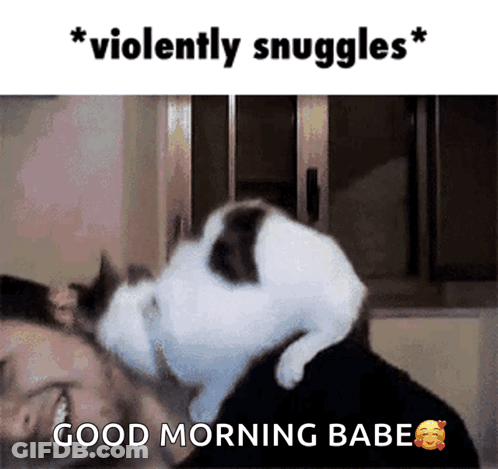 A Cat Laying On Top Of A Man 'S Head With The Words " Violently Snuggles " Above It GIF