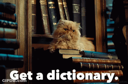 A Cat Laying On Top Of A Stack Of Books With The Words Get A Dictionary Written Below It GIF