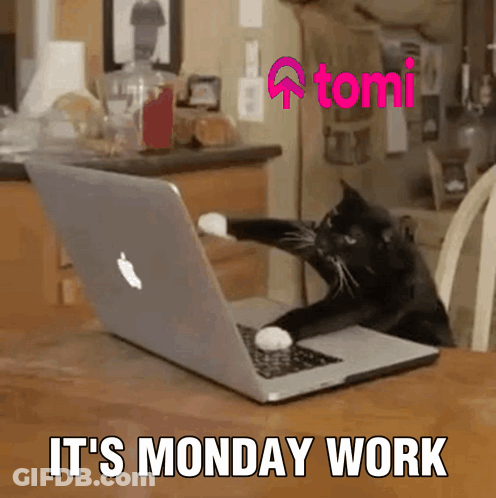 A Cat Laying On Top Of An Apple Laptop With The Words " It 'S Monday Work " Below It GIF