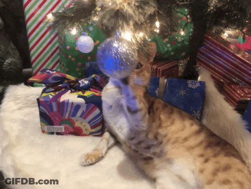 A Cat Laying Under A Christmas Tree Holding A Christmas Ornament GIF