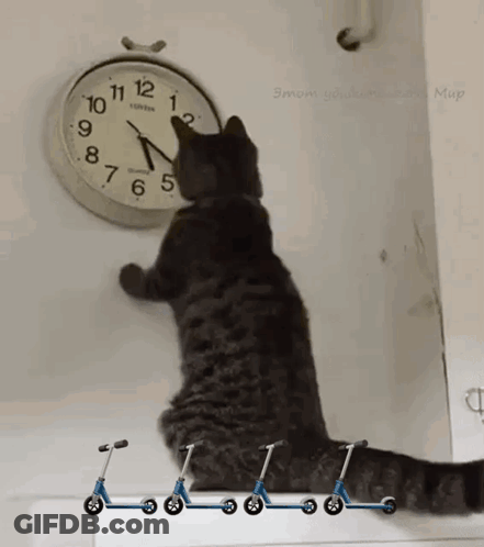 A Cat Looking At A Clock That Says London GIF