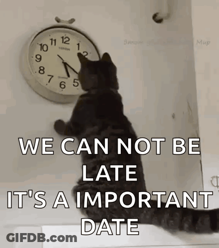 A Cat Looking At A Clock That Says We Can Not Be Late GIF