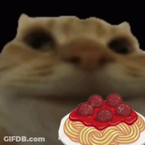 A Cat Looking At A Plate Of Spaghetti With Meatballs And Sauce GIF