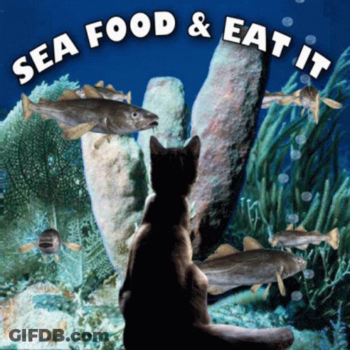 A Cat Looking At Fish In A Sea Food And Eat It Poster GIF
