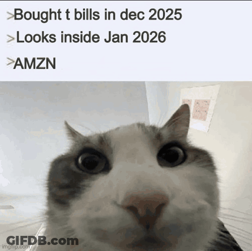 A Cat Looking At The Camera With A Caption That Says Bought T Bills In Dec 2025 GIF