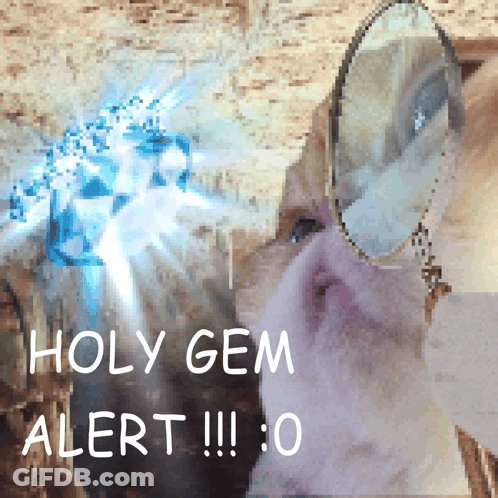 A Cat Looking In A Mirror With The Words Holy Gem Alert Written Above It GIF