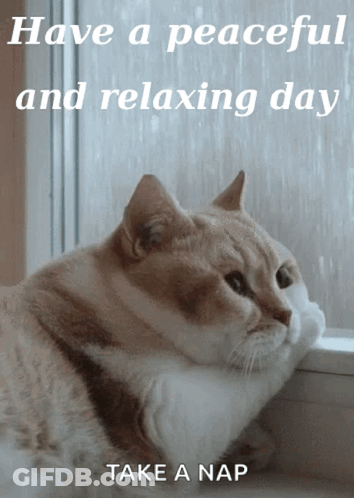 A Cat Looking Out A Window With The Words " Have A Peaceful And Relaxing Day Take A Nap " Below It GIF