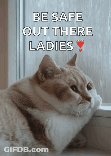 A Cat Looking Out Of A Window With The Words Be Safe Out There Ladies GIF