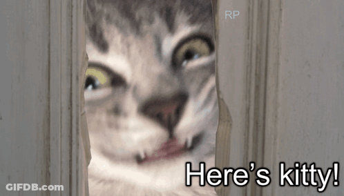 A Cat Looking Through A Hole In A Door With The Words Here 'S Kitty Written Below It GIF