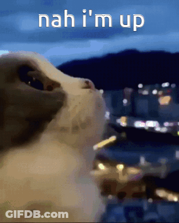 A Cat Looking Up With The Words Nah I 'M Up Written Above It GIF