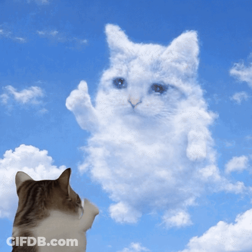 A Cat Looks At A Cloud That Looks Like A Cat GIF
