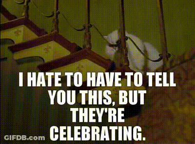 A Cat On A Leash With The Words I Hate To Have To Tell You This But They 'Re Celebrating Written Below It GIF