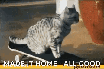 A Cat On A Skateboard With The Words Made It Home All Good GIF