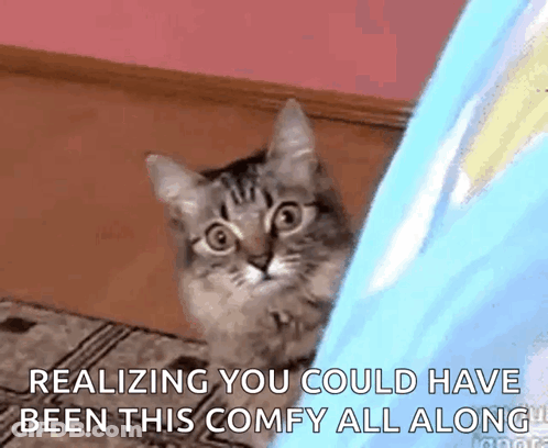 A Cat Peeking Out From Behind A Blue Blanket With The Words Realizing You Could Have Been This Comfy All Along GIF