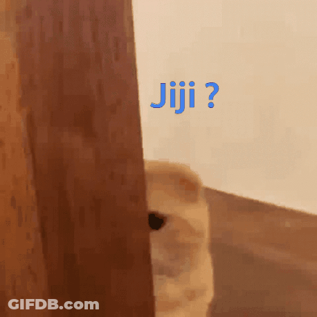 A Cat Peeking Out From Behind A Door With The Word Jiji Written On It GIF