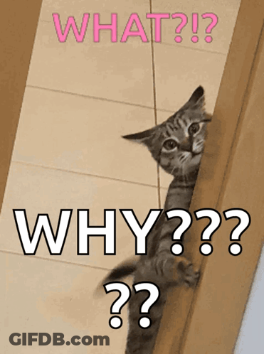 A Cat Peeking Out From Behind A Door With The Words " What Why " Written Above It GIF