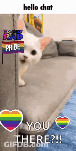 A Cat Peeking Out From Behind A Wall With A Rainbow Heart And The Words Hello Chat GIF